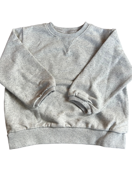 The speckled sweatshirt